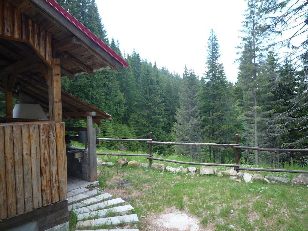 Ski Apartment In Castle Complex Pamporovo Camera foto